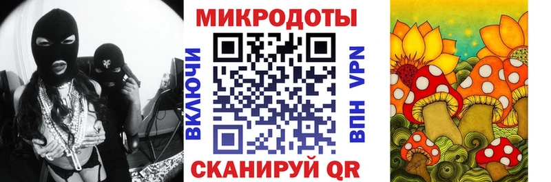 Псилоцибиновые грибы Psilocybe  Нижняя Салда 